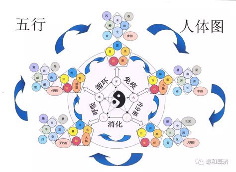 五行健康躁|中医理论探究：五行与人体健康的关系